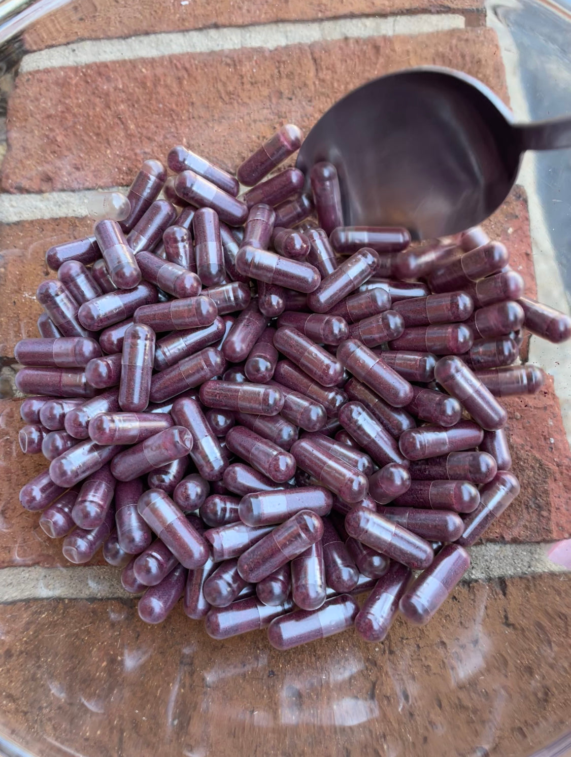 beet root capsules