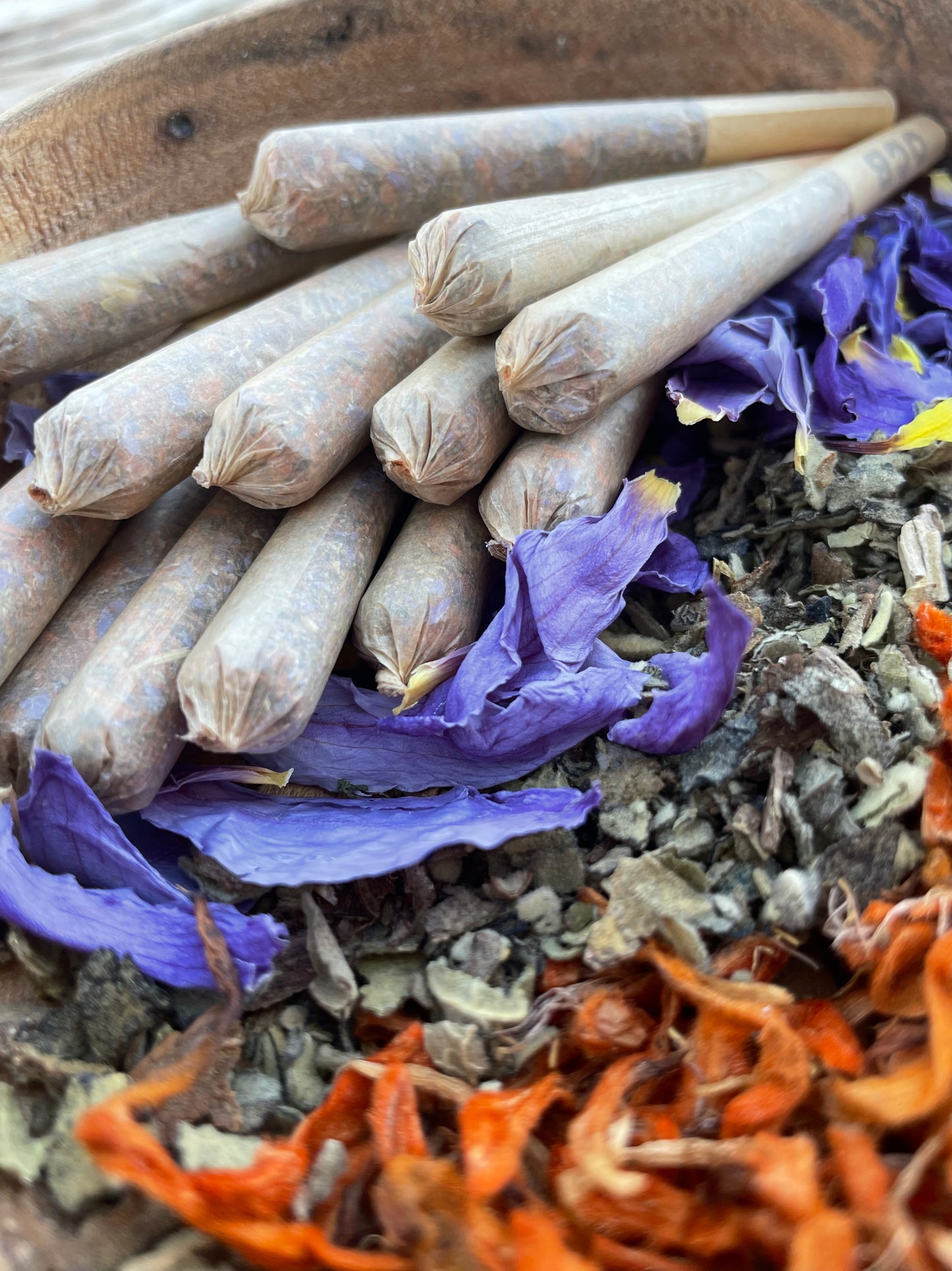 adult herbal workshops