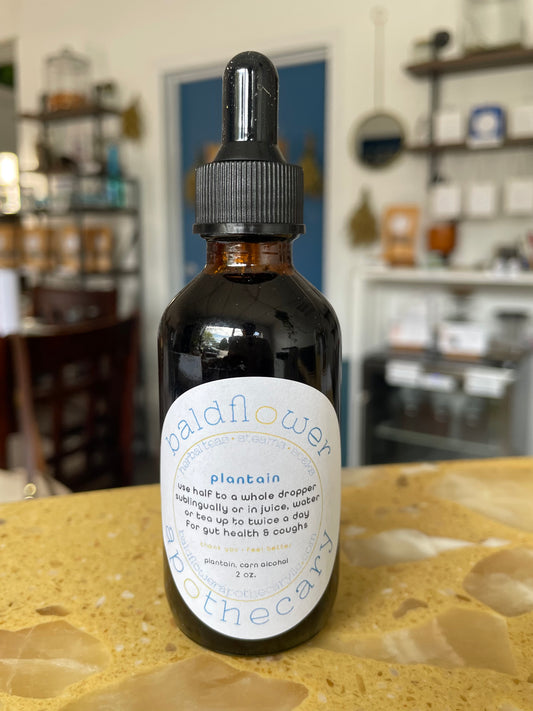 plantain tincture
