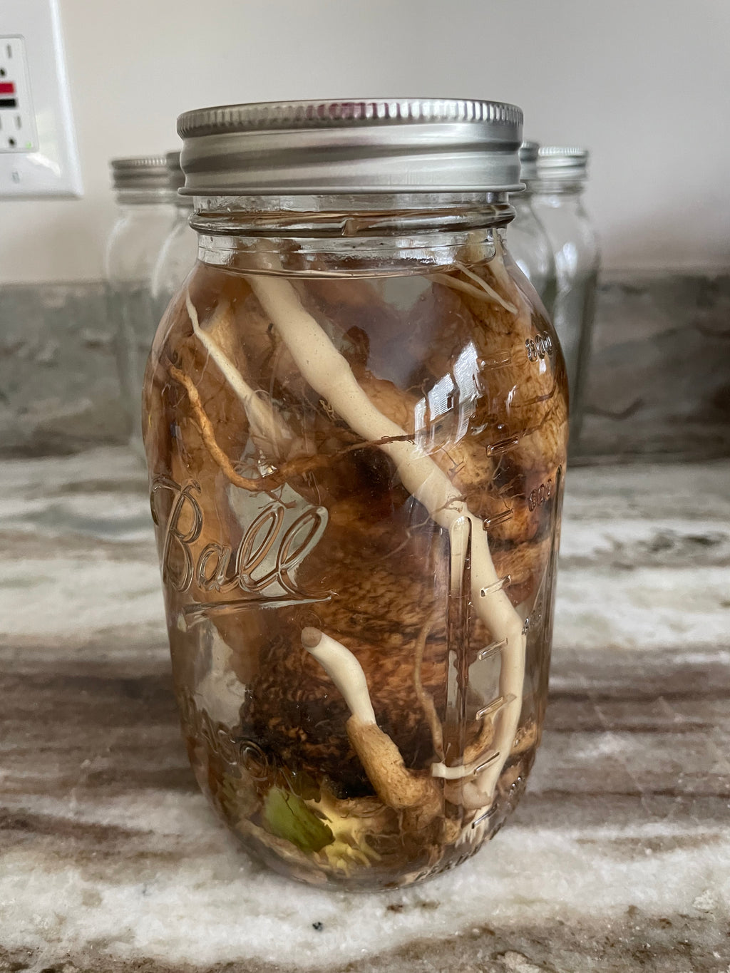 mullein root tincture