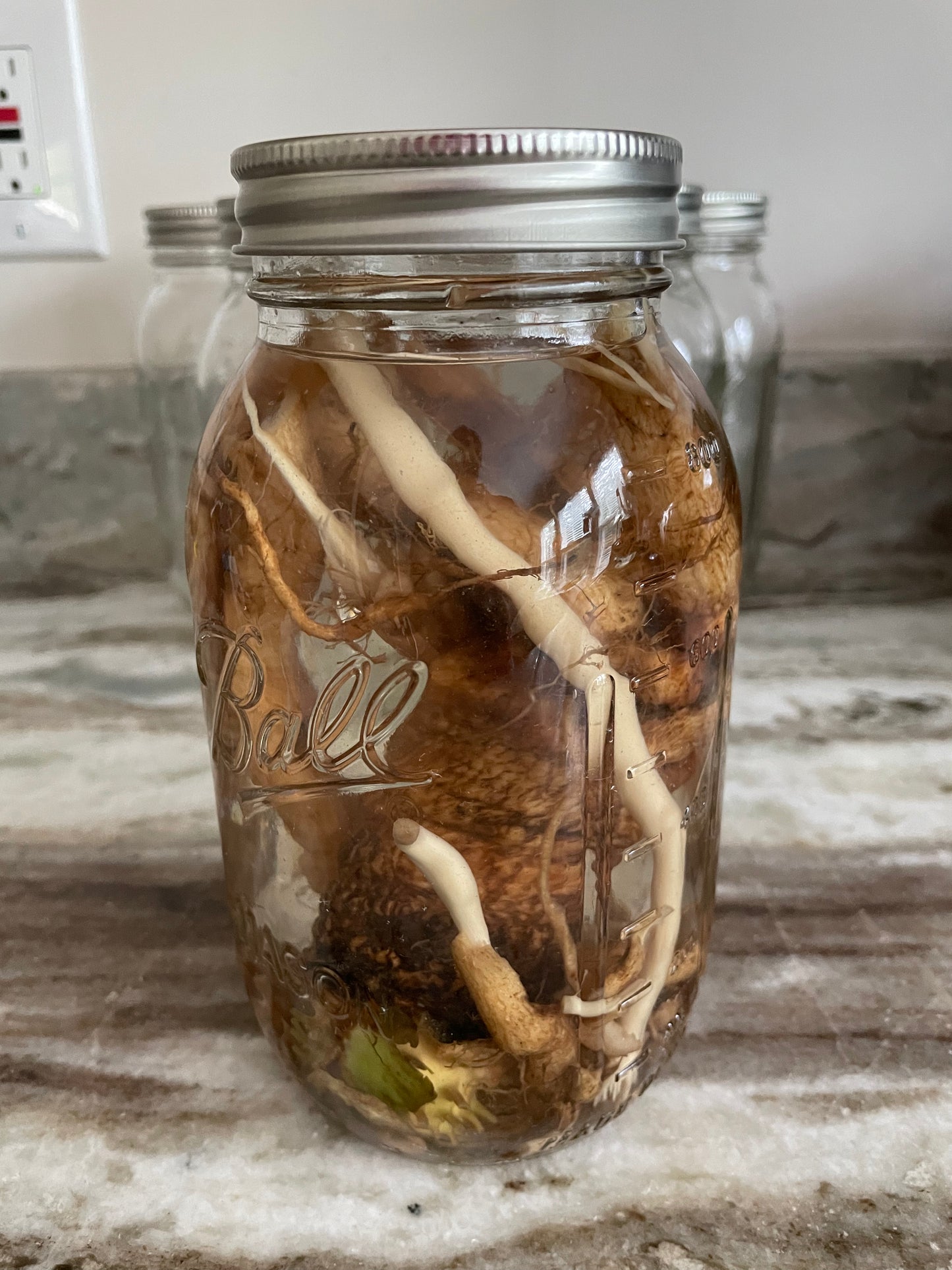 mullein root tincture